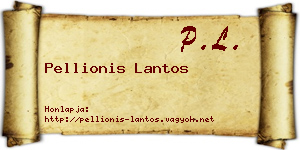 Pellionis Lantos névjegykártya